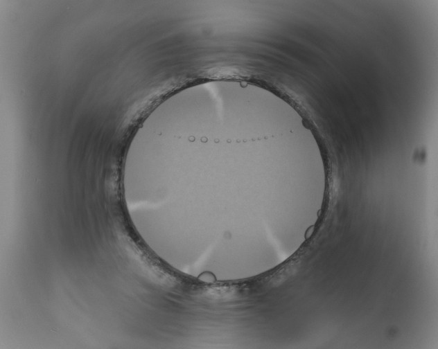 X0000112100353200909151205