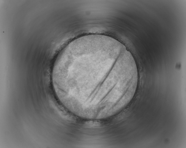 X0000112100354200909151205