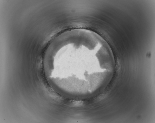 X0000112100355200909151205