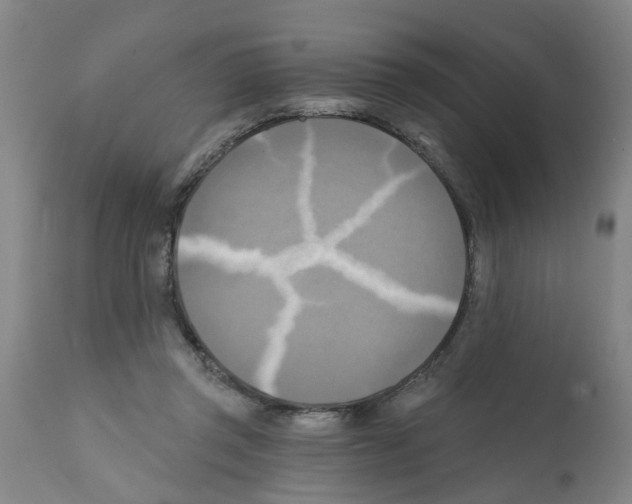 X0000112100357200909151205
