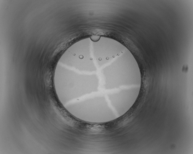X0000112100359200909151205