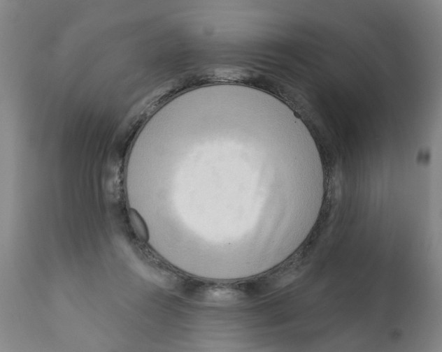 X0000112100360200909151205