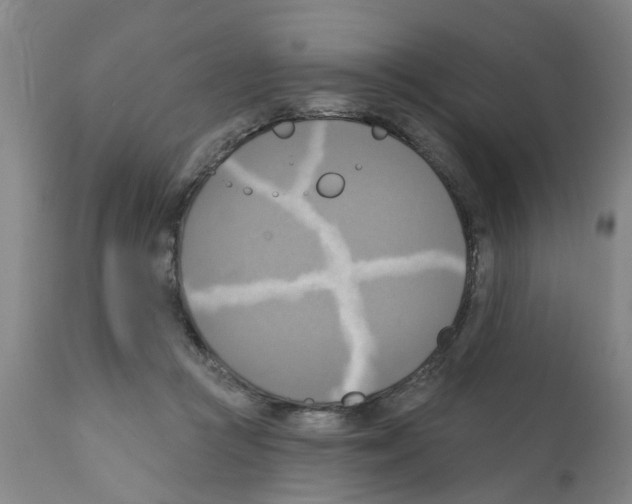 X0000112100361200909151205