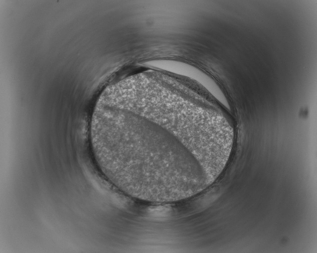 X0000112100362200909151205