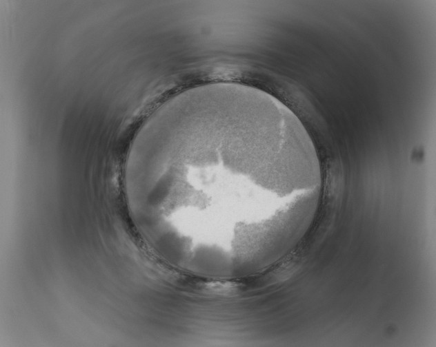 X0000112100363200909151205