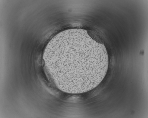 X0000112100364200909151205