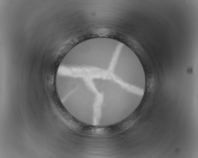 X0000112100365200909151205