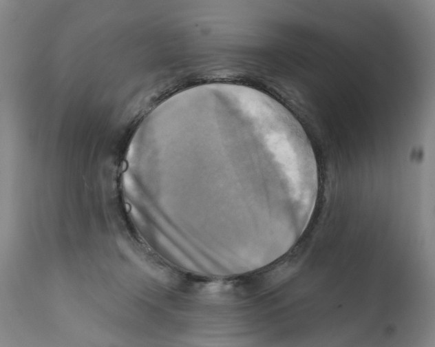 X0000112100366200909151205