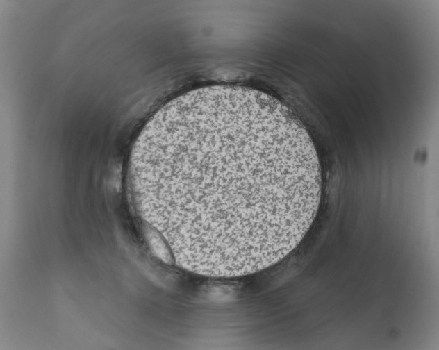 X0000112100368200909151205