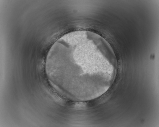 X0000112100369200909151205