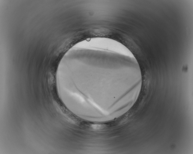X0000112100371200909151205