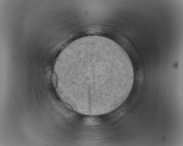 X0000112100372200909151205