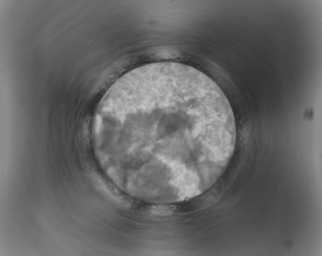 X0000112100373200909151205