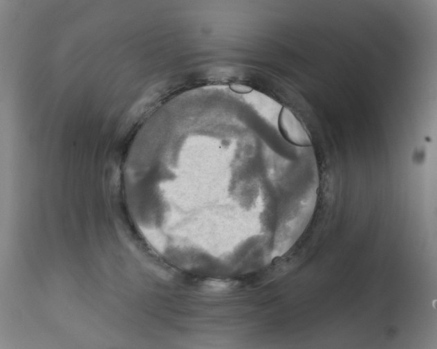 X0000112100375200909151206