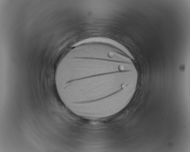 X0000112100376200909151206
