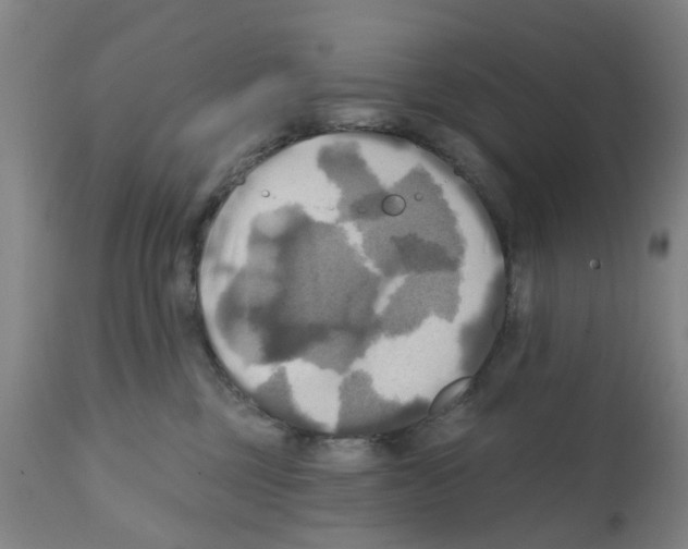 X0000112100377200909151206