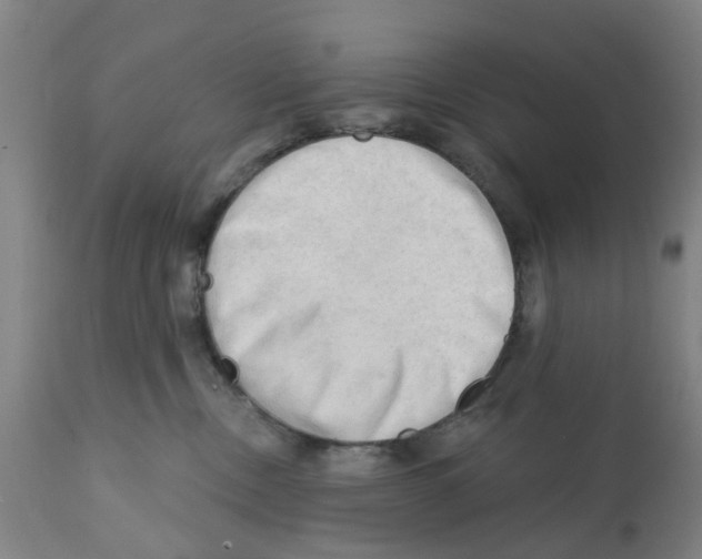X0000112100378200909151206
