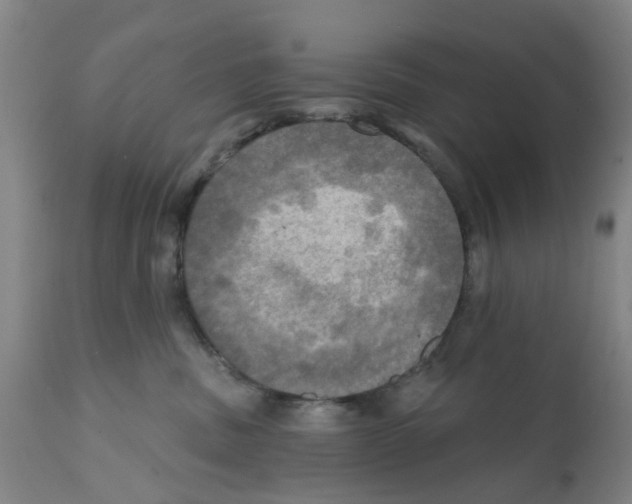 X0000112100379200909151206