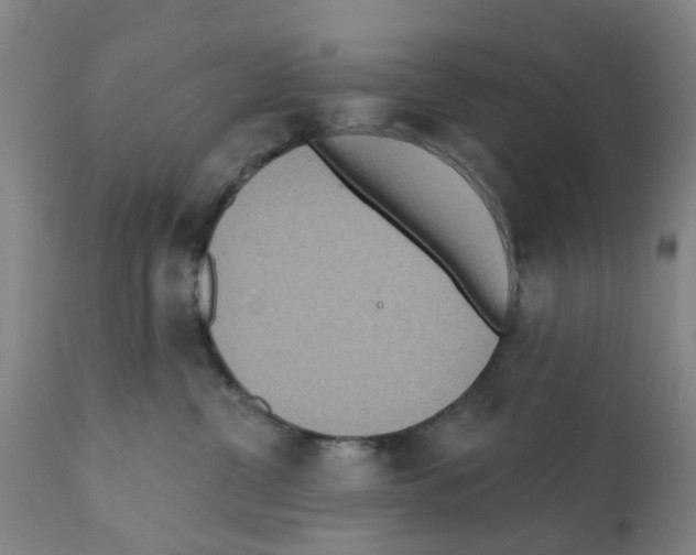 X0000112100380200909151206