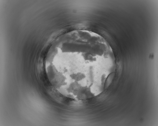 X0000112100381200909151206