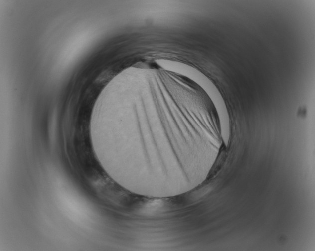 X0000112100382200909151206