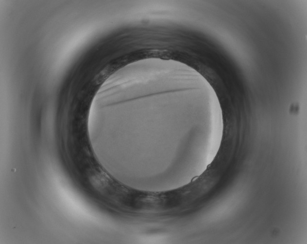 X0000112100383200909151206