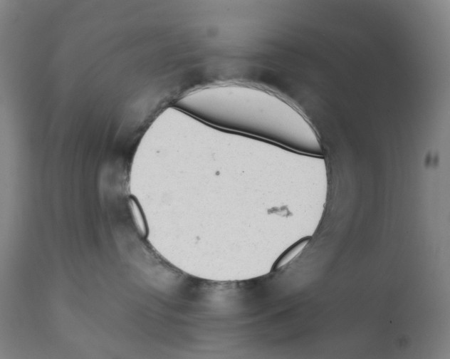 X0000112100384200909151206