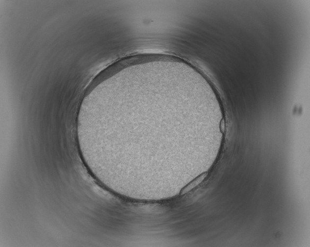 X0000112100385200909151205