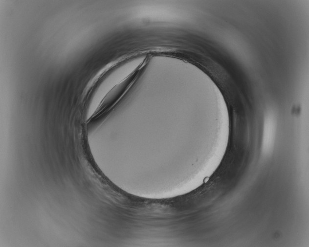 X0000112100387200909151205