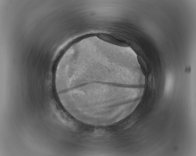 X0000112100388200909151205