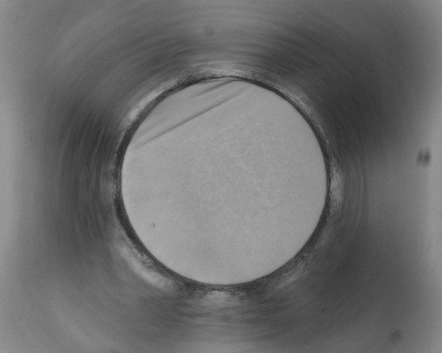 X0000112100390200909151205