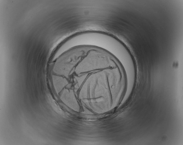 X0000112100391200909151205