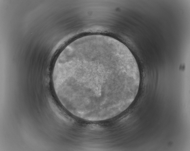 X0000112100392200909151205