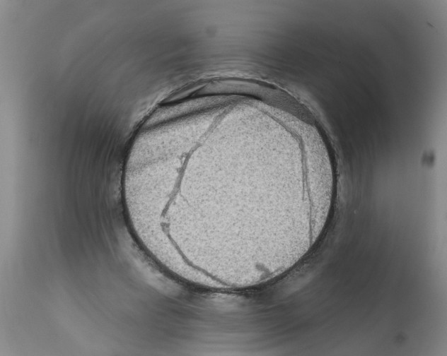 X0000112100393200909151205