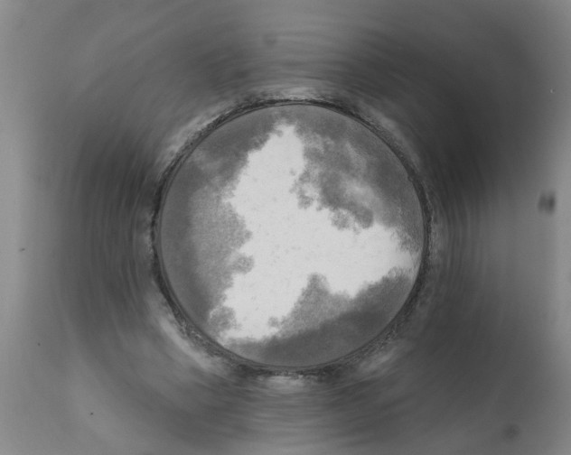 X0000112100394200909151205