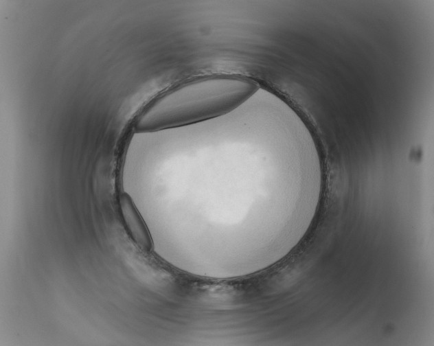 X0000112100395200909151205