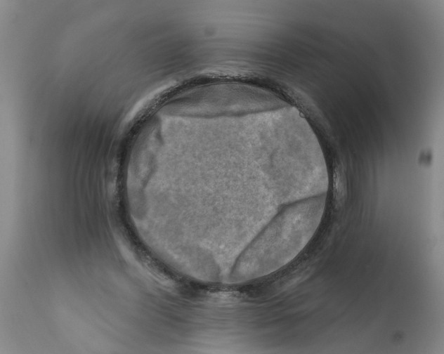 X0000112100396200909151205