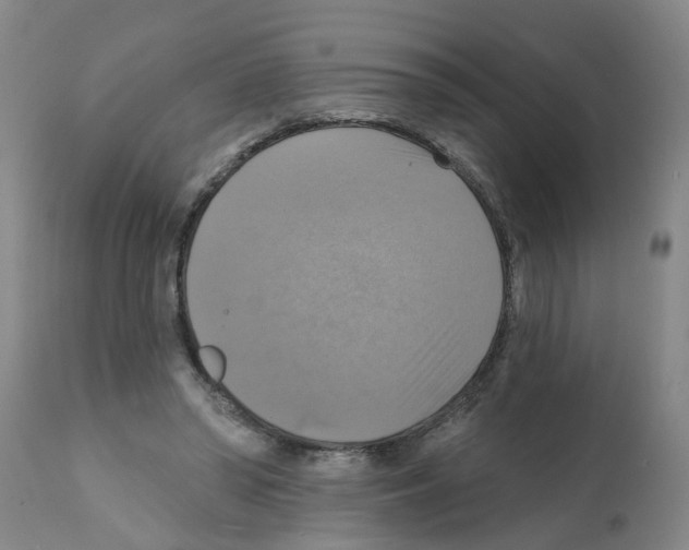 X0000112100398200909151205