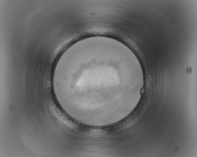 X0000112100399200909151205