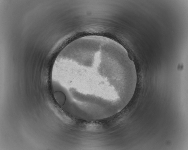 X0000112100400200909151204