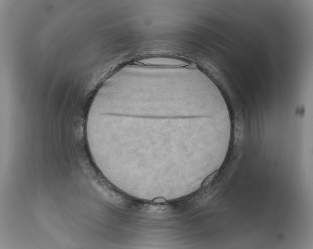 X0000112100401200909151204