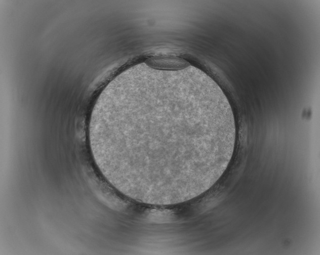 X0000112100403200909151204