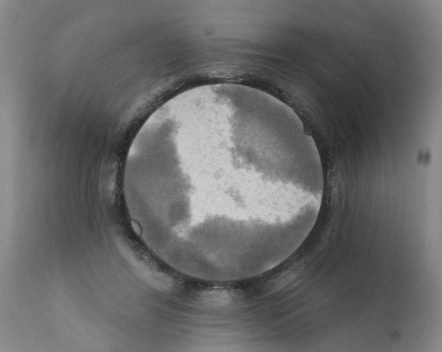 X0000112100404200909151204