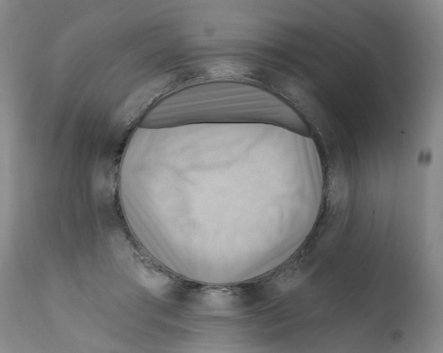 X0000112100405200909151204