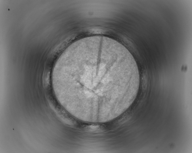 X0000112100406200909151204