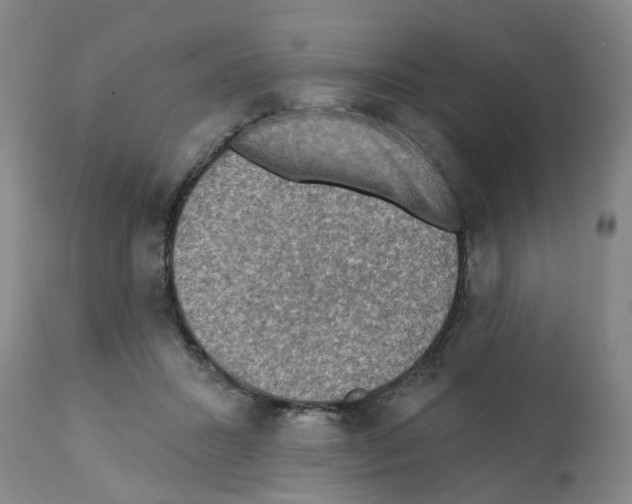 X0000112100407200909151204