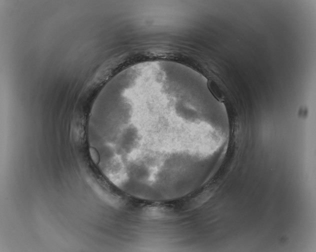 X0000112100408200909151204