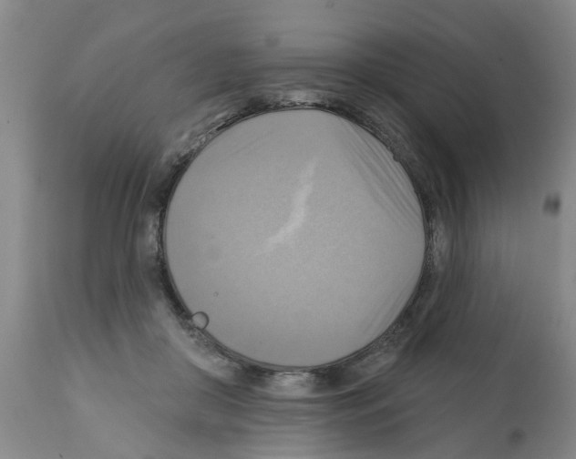 X0000112100410200909151204