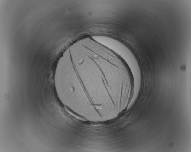 X0000112100411200909151204