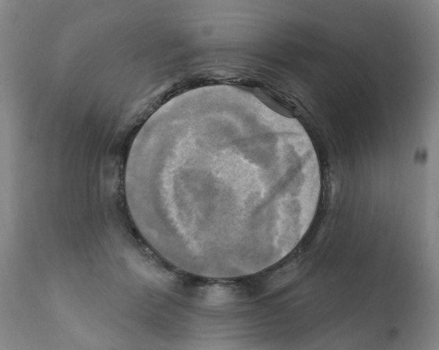 X0000112100412200909151204
